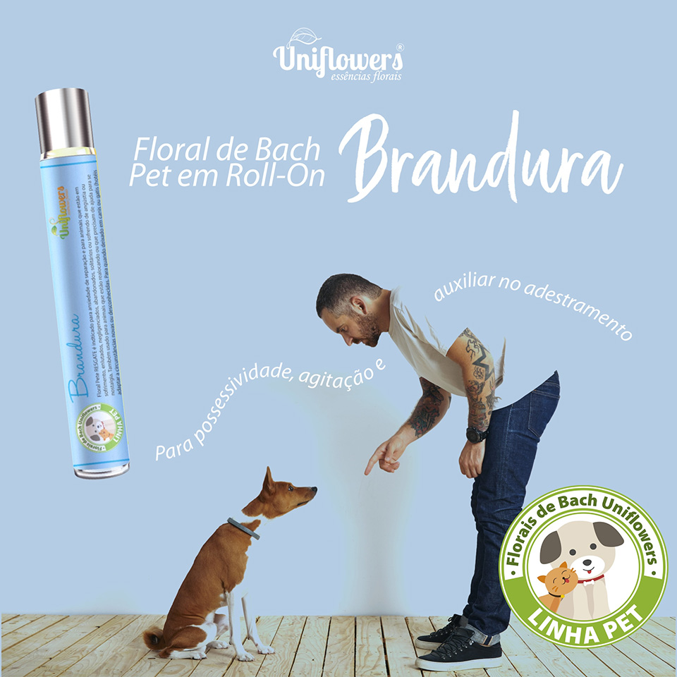 Brandura